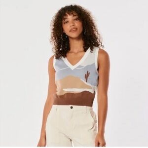Hollister Desert Sleeveless Knit Top